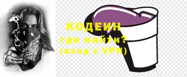 шишки Белоозёрский