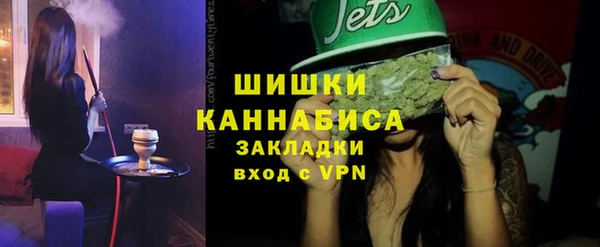 шишки Белоозёрский