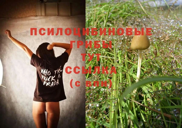 шишки Белоозёрский