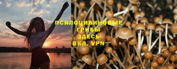 шишки Белоозёрский