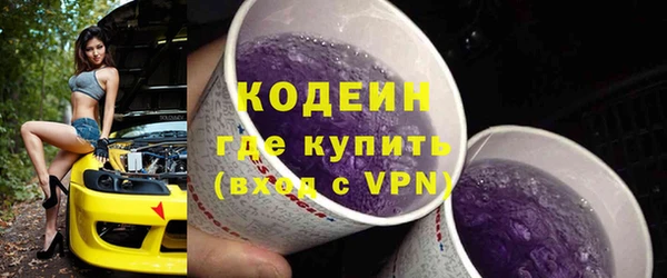 шишки Белоозёрский